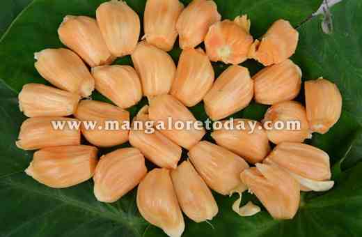 Jackfruit 